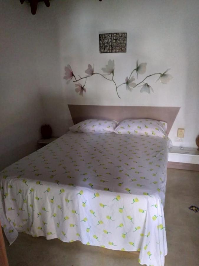 Casa Flamingo Villa Las Terrenas Dış mekan fotoğraf