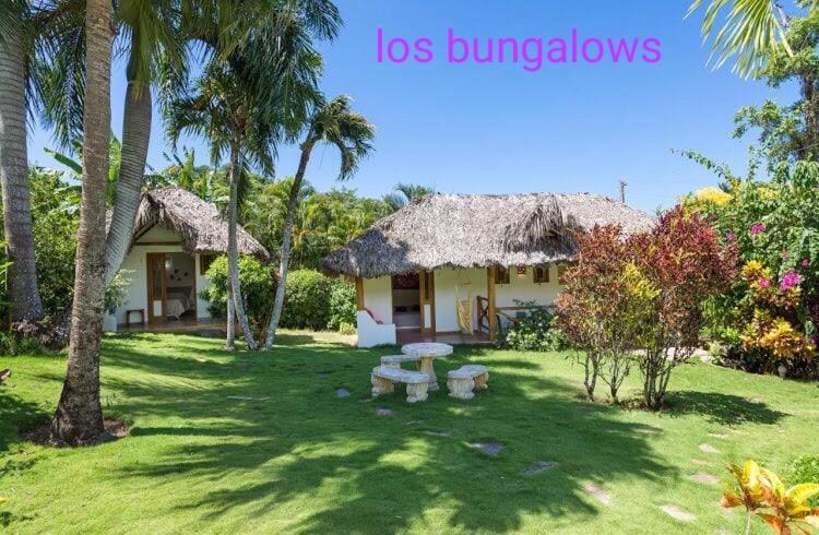 Casa Flamingo Villa Las Terrenas Dış mekan fotoğraf