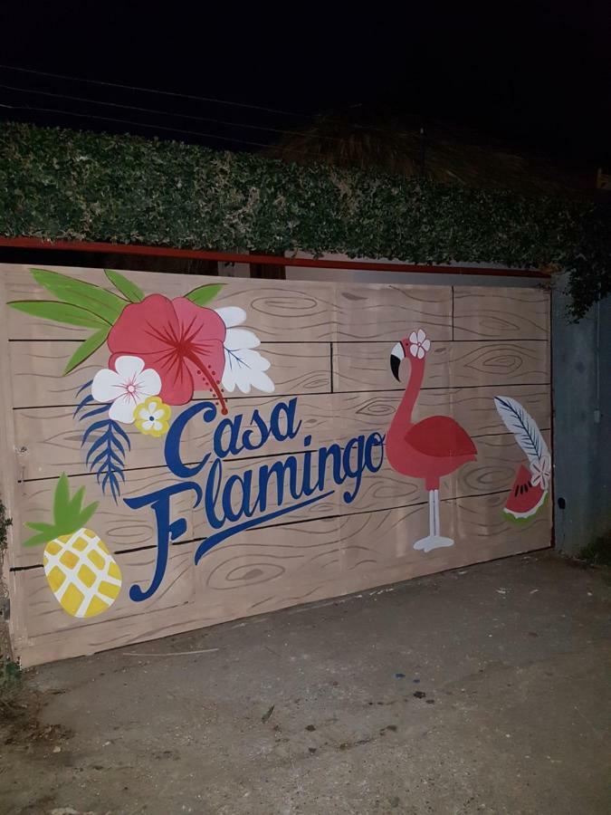 Casa Flamingo Villa Las Terrenas Dış mekan fotoğraf