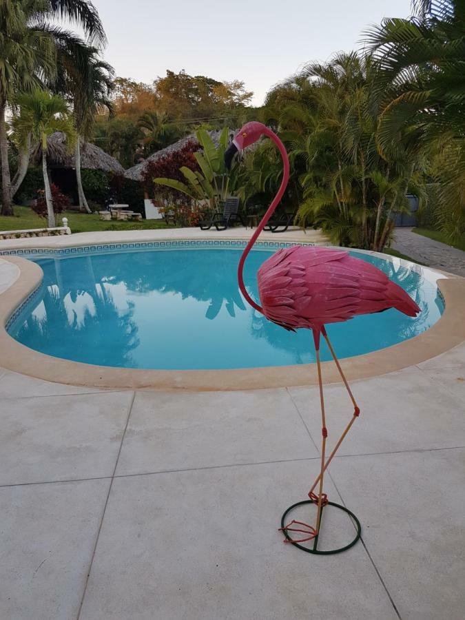 Casa Flamingo Villa Las Terrenas Dış mekan fotoğraf