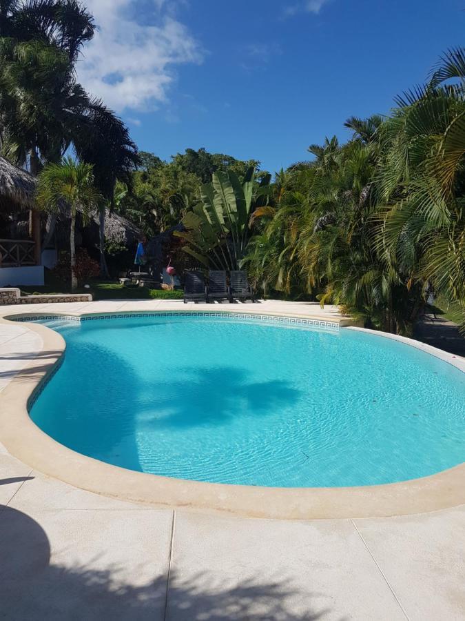 Casa Flamingo Villa Las Terrenas Dış mekan fotoğraf