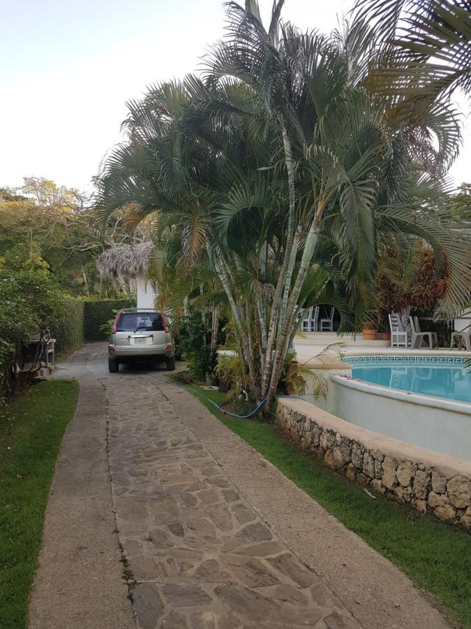 Casa Flamingo Villa Las Terrenas Dış mekan fotoğraf