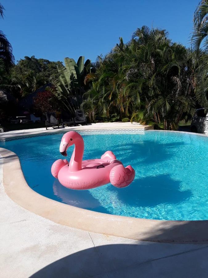 Casa Flamingo Villa Las Terrenas Dış mekan fotoğraf